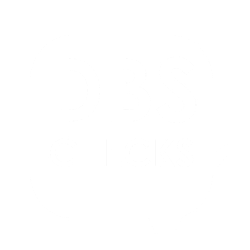 dbs-checked-logo